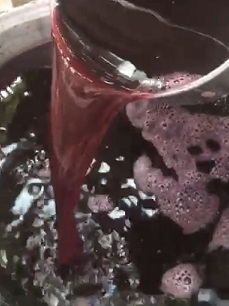 готовое вино из сублимированного виноградного сырья